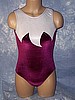 Veronica - Plum Velvet Leotard
