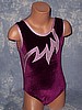 Alexia - Plum Velvet Leotard